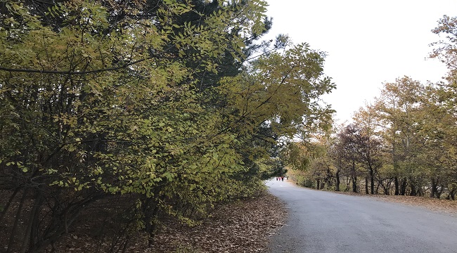 ODTÜ Eymir'de sonbahar!