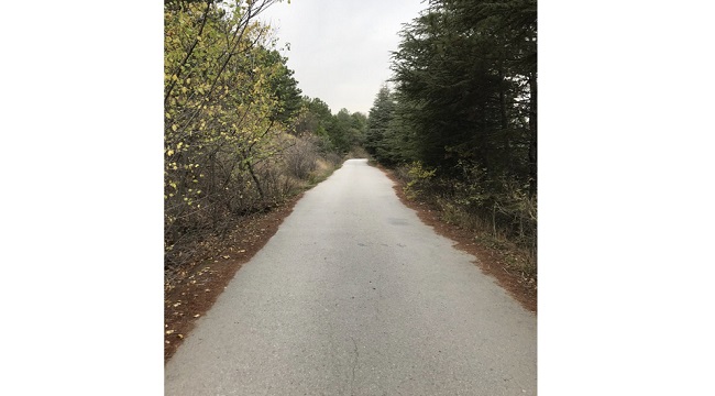 ODTÜ Eymir'de sonbahar!