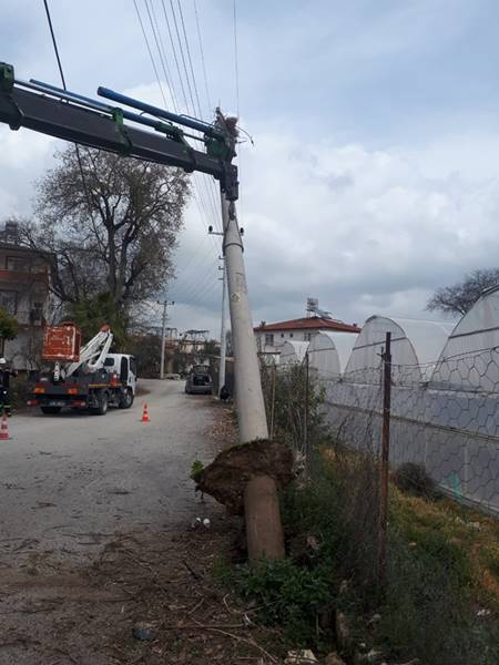 AEDAŞ: Leylekler koruma altında