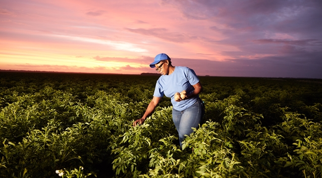 'Damla sulama ve mini yağmurlama ile tarımda yaklaşık 13 milyon ton su tasarrufu sağladık
