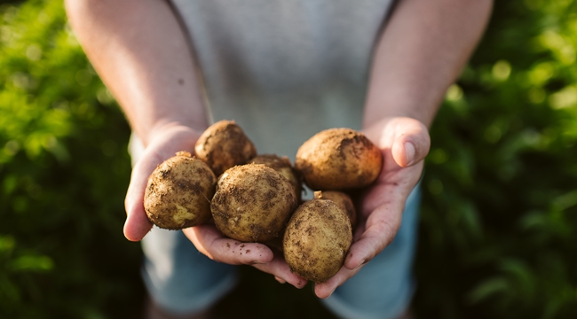 'Damla sulama ve mini yağmurlama ile tarımda yaklaşık 13 milyon ton su tasarrufu sağladık