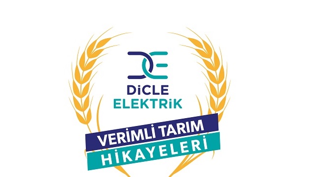 Mardinli çiftçi Lavanta ekimi - Dicle Elektrik Verimli Tarım Hikayeleri!