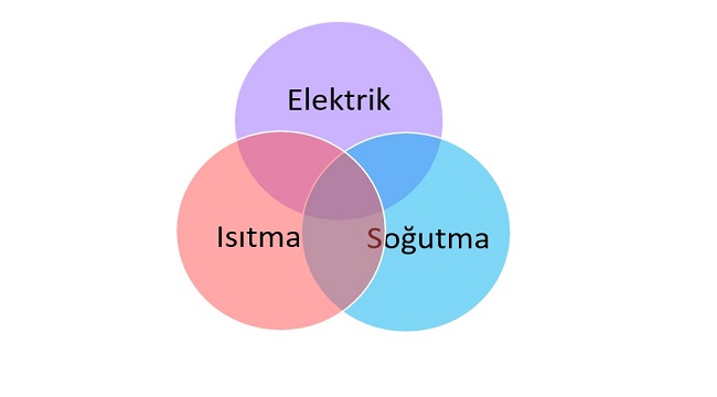 Kojenerasyon ne demek? - Trijenerasyon ne demek?