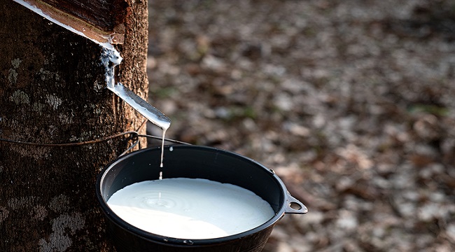 Doğal Kauçuktan üretiyor - P Zero Lastik BMW X5 şarj edilebilir hibrit modeli için...