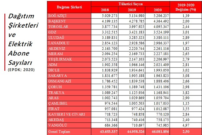 Hangi şirketin kaç elektrik abonesi var?