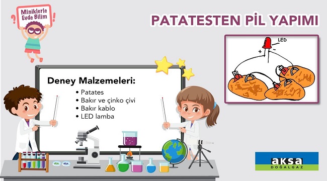 Patatesten pil yapımı - BİLİM!