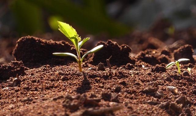 TEMA Vakfı - Erozyona karşı toprağı koruyan uygulamaları...