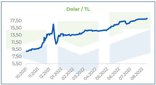 'Artan enerji maliyetleri ve enerjiye erişim kısıtlamalarına bağlı arz sıkıntıları oluşalar' - Ayrıntılar!
