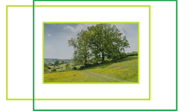 MAPFRE Grup - ''Enerji dönüşüm planı olmayan fosil yakıt şirketlerine yatırım yapılmaması...''