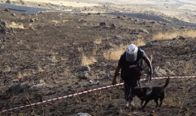 GÜNCEL: Türkiye sınırındaki ''50 bin mayını temizleme projesi'' tamamlandı - UNDP ve AB Türkiye!