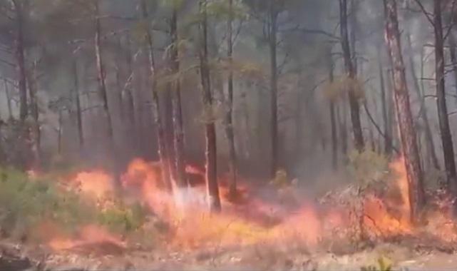 12 il için ''10 gün boyunca'' YANGIN riski uyarısı yaptı - OGM