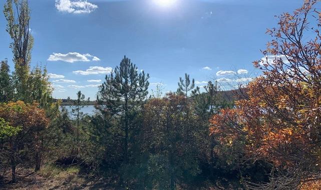 ODTÜ Eymir Gölü'nde sonbahar