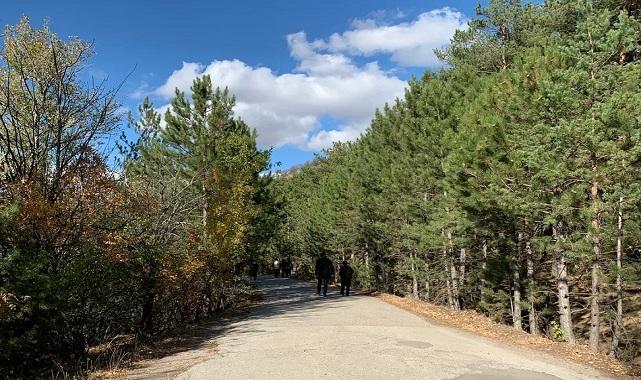 ODTÜ Eymir Gölü'nde sonbahar