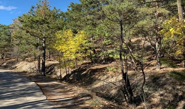 ODTÜ Eymir Gölü'nde sonbahar