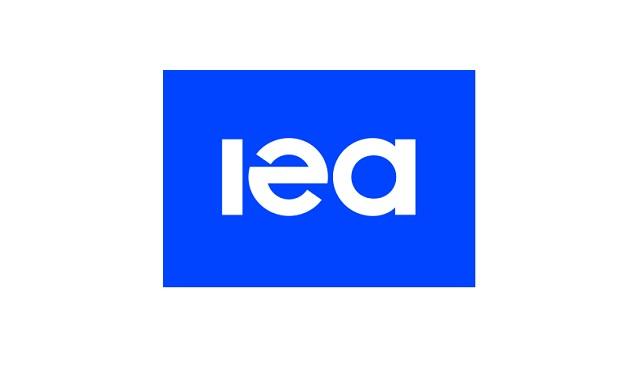 'Petrol Raporu 2024' Uluslararası Enerji Ajansı