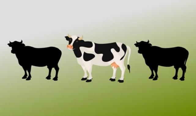 Evde 'DOĞAL GAZ ve ELEKTRİK' üretebilirsiniz!