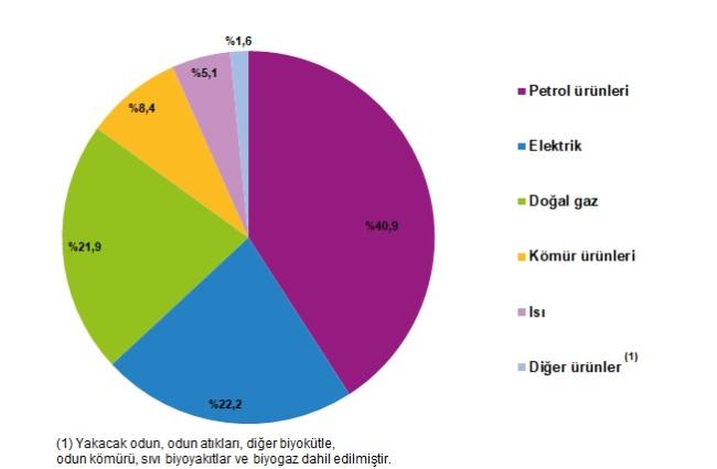 TÜİK 'Enerji Hesaplarını'' yayınladı!