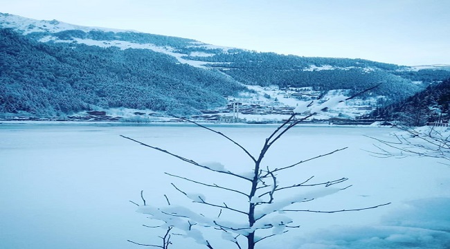 Foto Haber: UZUNGÖL