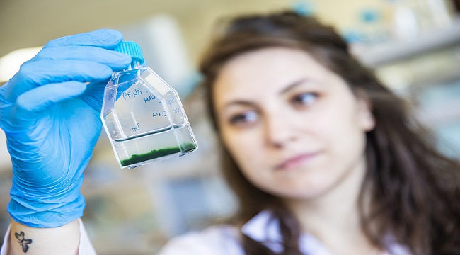 ENERJİ'de var: Başvurular başladı...