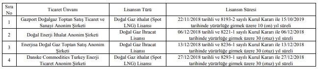 Enerjisa Doğal Gaz Toptan Satış 30 yıl süreli İhracat Lisansı aldı