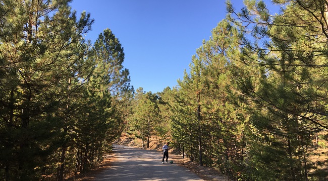 ODTÜ Eymir'de sonbahar (FOTO HABER)