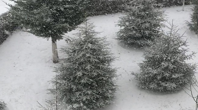 DÜNYA: Bir tarafta kış, diğer tarafta yangın