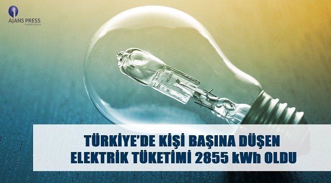 Türkiye'de kişi başına düşen elektrik tüketimi 2.855 kilowatsaat oldu