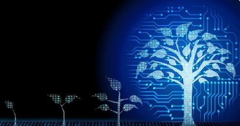 Enerji iletim hatları ve ağaçlar için önemli bilgi!