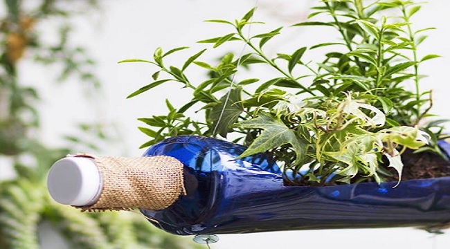 Evde de olur: ÖRNEK