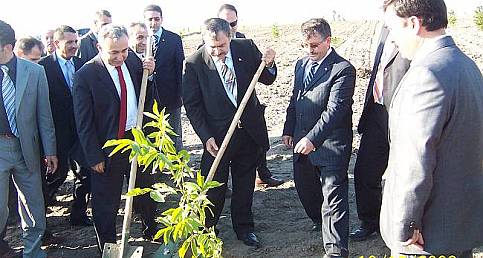 Orman ve Su İşleri Bakanlığı dikmişti