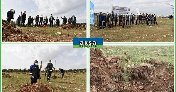 Şanlıurfa: Temiz bir nefes için bu topraklarda umutlar tükenmez