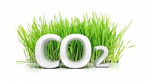 Üç yıllık duraklamanın ardından yükselişe geçiyor