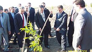 10 yıl önce dikilen cevizler 17.400 TL kazandırıyor