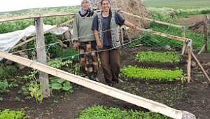 Bu köyde kadınlar ön planda: Kırsal kalkınmada örnek oldular