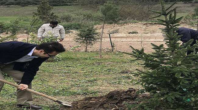 Hatıra Ormanı kurdu