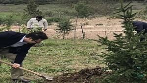 Hatıra Ormanı kurdu