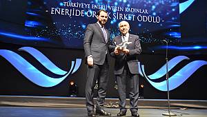 Uludağ Elektrik örnek şirket ödülü aldı