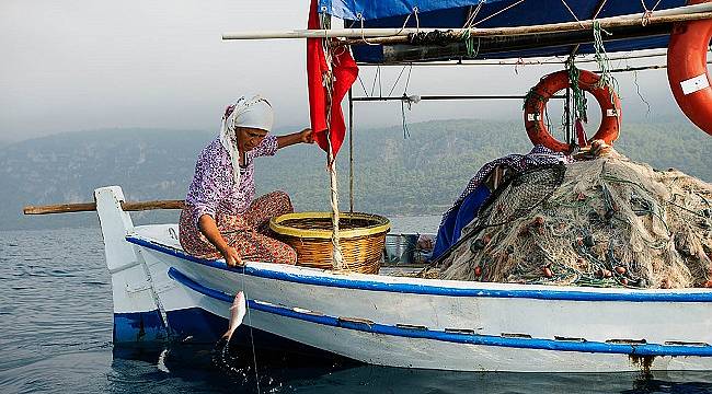 Akdeniz Koruma Derneği ile Gökova Körfezi güvende