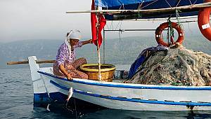 Akdeniz Koruma Derneği ile Gökova Körfezi güvende