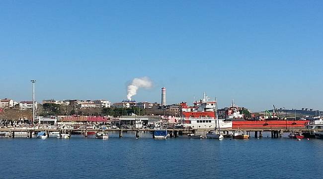 Danıştay&#039;dan kömür santral kararı