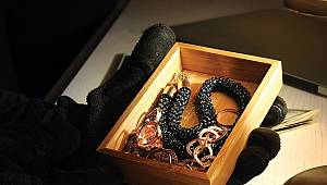 Hırsızlık kurbanlarının yüzde 80'i taşınıyor