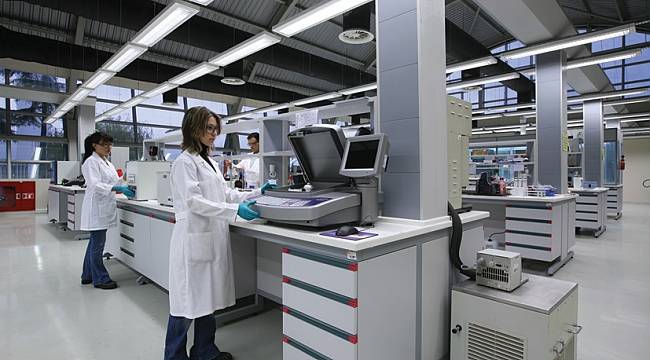 Otomotiv ve madeni yağ sektörleri, birbirlerini tetikliyor