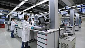 Otomotiv ve madeni yağ sektörleri, birbirlerini tetikliyor