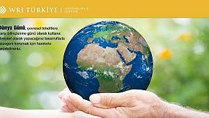 Plastik kirliliğine son