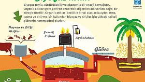 50 ineği olan kendi elektriğini üretebilir