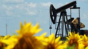 Biyokütle Enerji Ne demek?