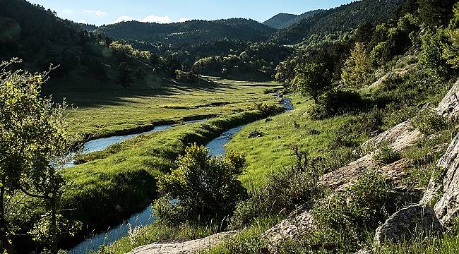 Dünya Doğayı Koruma Birliği uyarısı!