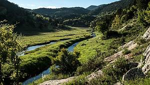 Dünya Doğayı Koruma Birliği uyarısı!