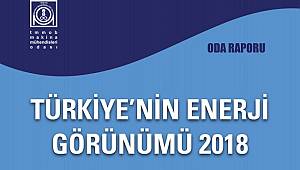 Enerji Görünümü Raporu'nu yayınladı