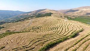 Erozyon Kontrol Projesi İzmir'i yeşillendirmeye başladı